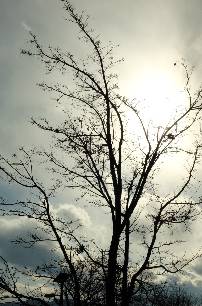 f:id:Aozora100:20190330213046j:plain f:id:Aozora100:20190330213046j:plain