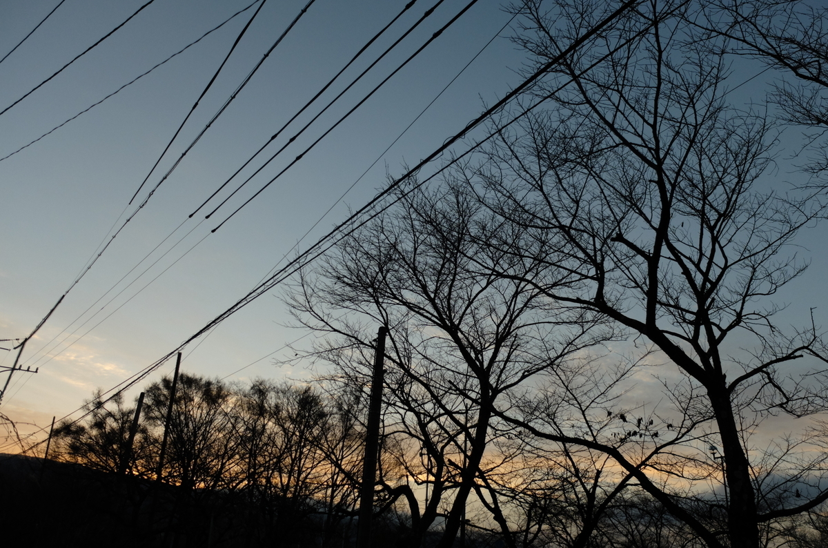 f:id:Aozora100:20190407204541j:plain f:id:Aozora100:20190407204541j:plain