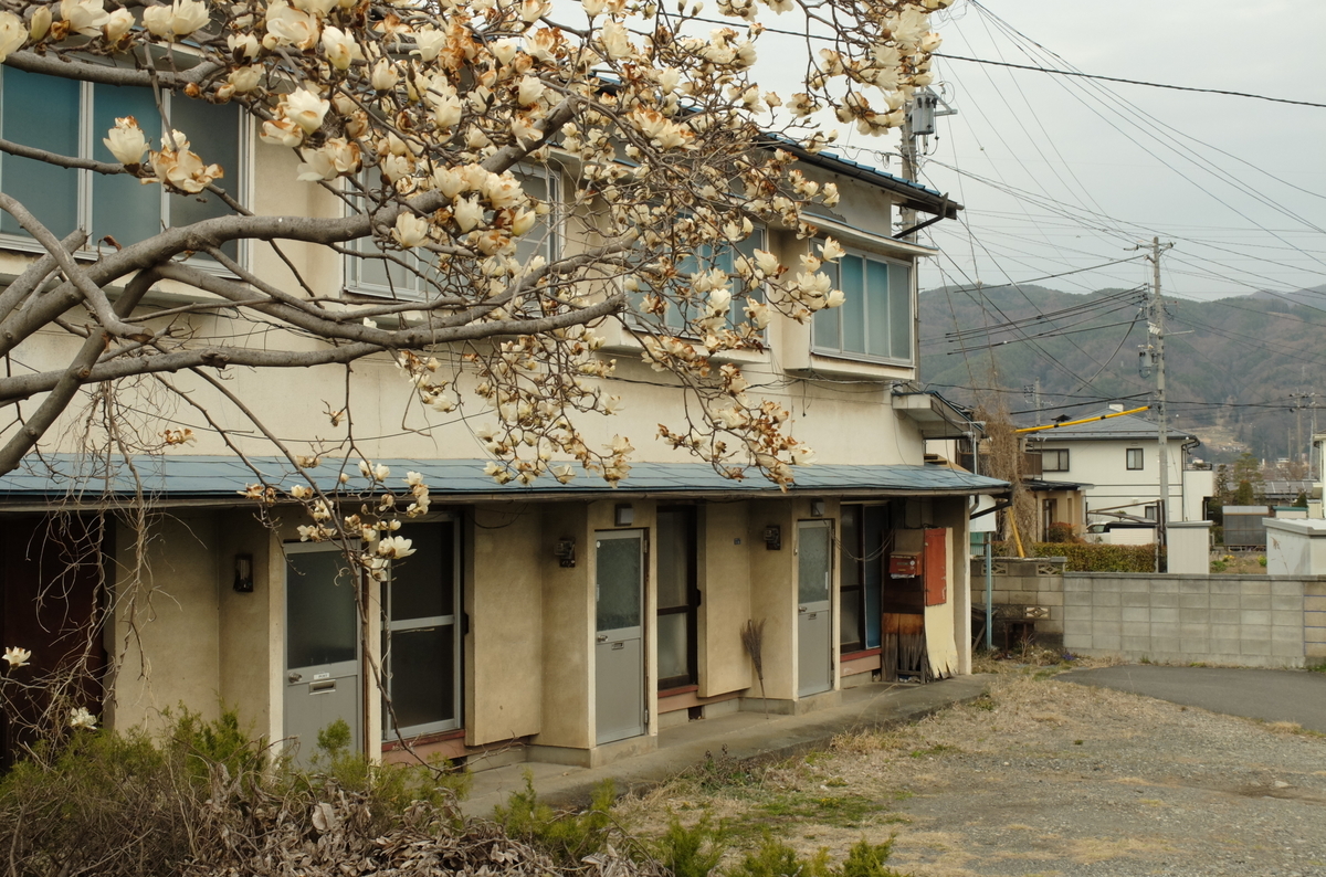 f:id:Aozora100:20190501222912j:plain f:id:Aozora100:20190501222912j:plain