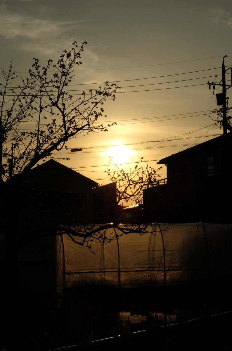 f:id:Aozora100:20190904131145j:plain f:id:Aozora100:20190904131145j:plain
