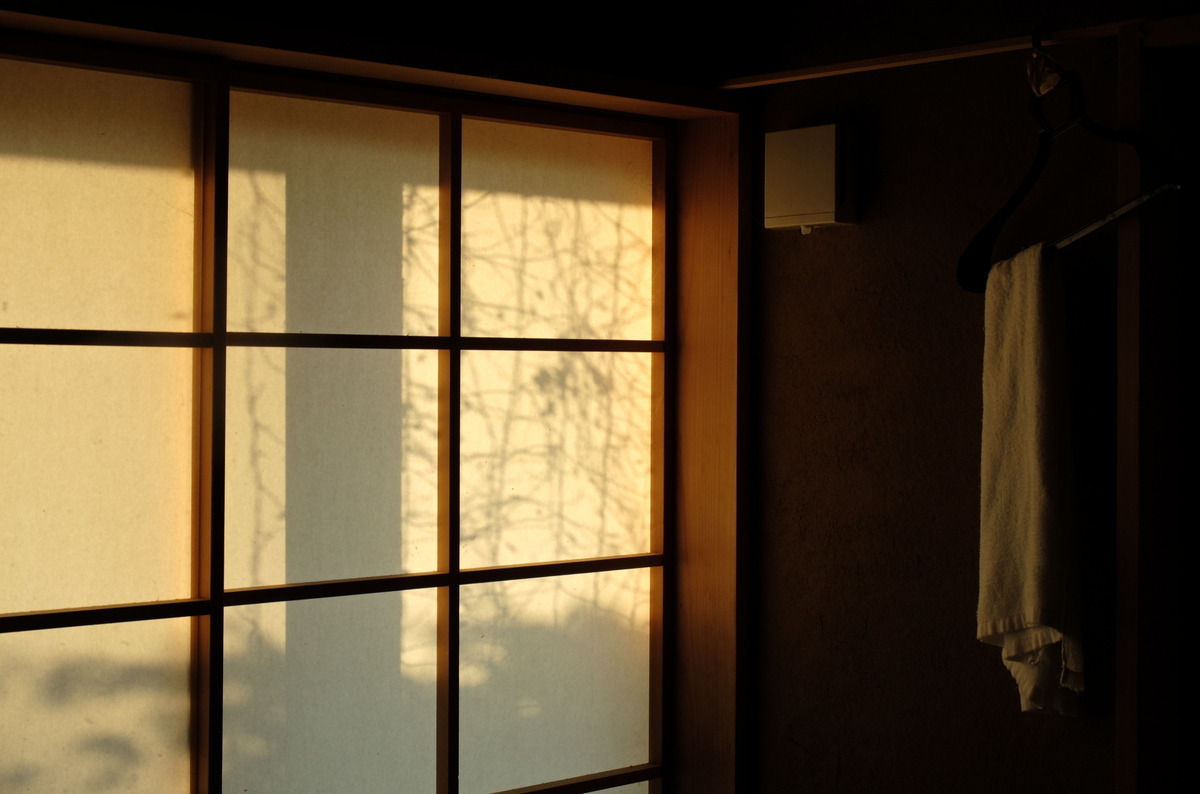 f:id:Aozora100:20190904131208j:plain f:id:Aozora100:20190904131208j:plain