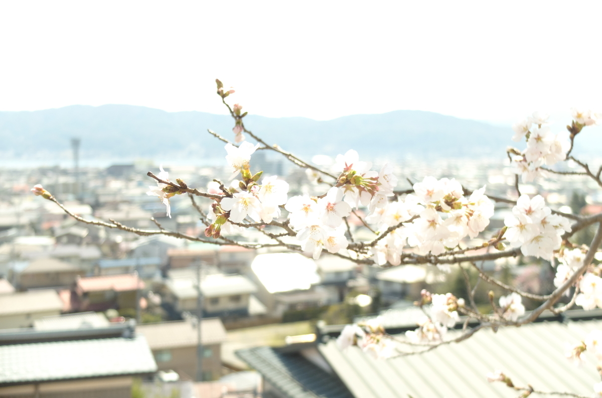 f:id:Aozora100:20190907164837j:plain