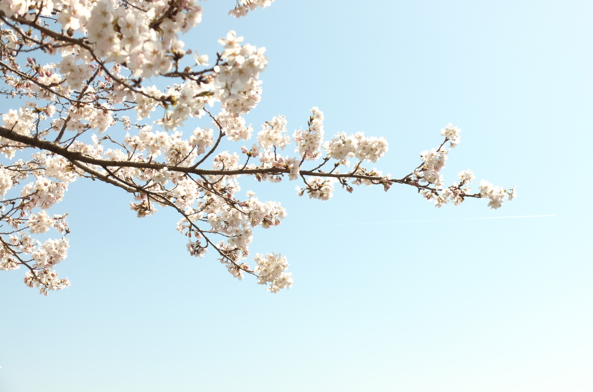 f:id:Aozora100:20190907164848j:plain