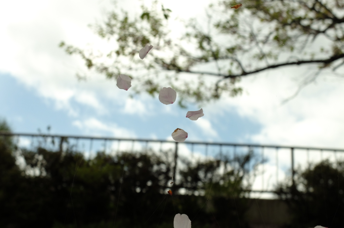 f:id:Aozora100:20190907164938j:plain