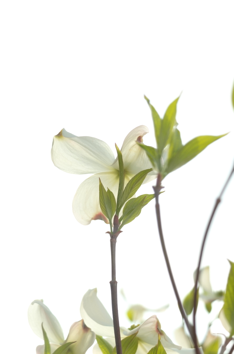 f:id:Aozora100:20190924145006j:plain