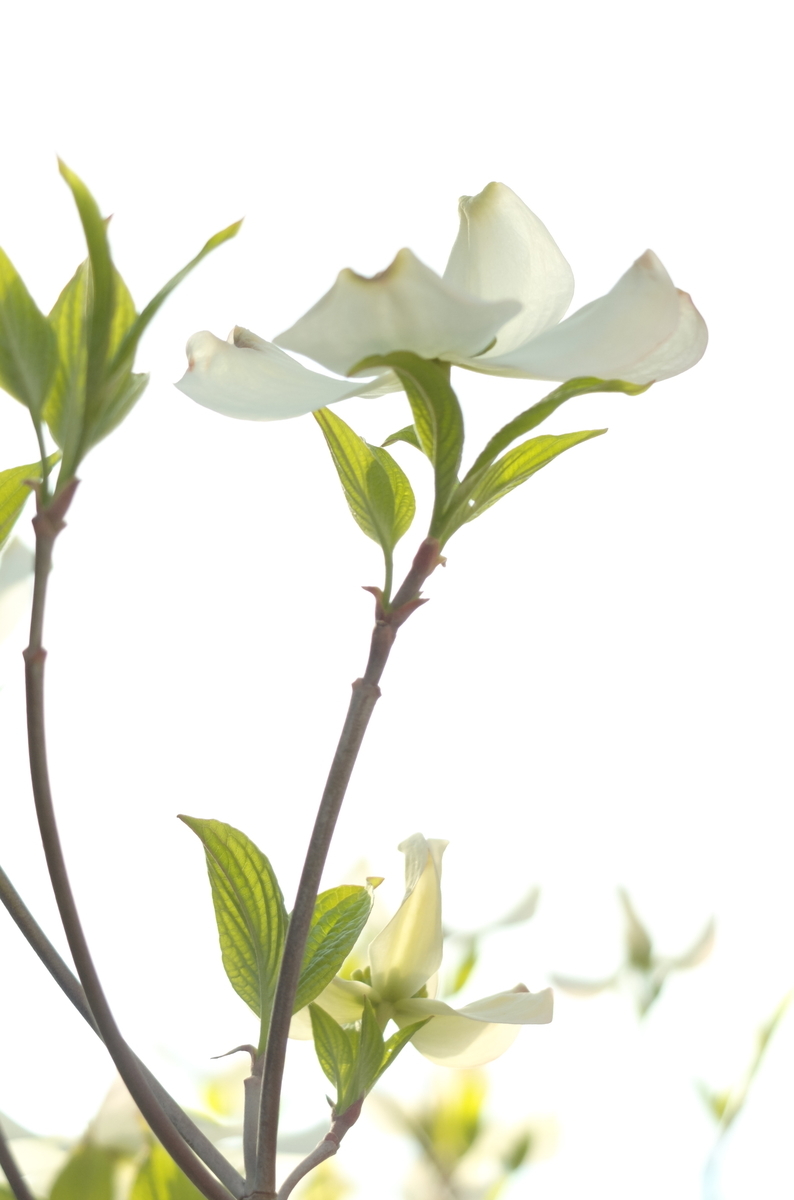 f:id:Aozora100:20190924145023j:plain