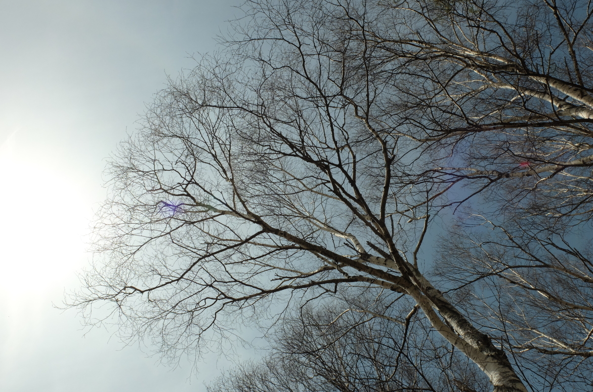 f:id:Aozora100:20191015205344j:plain