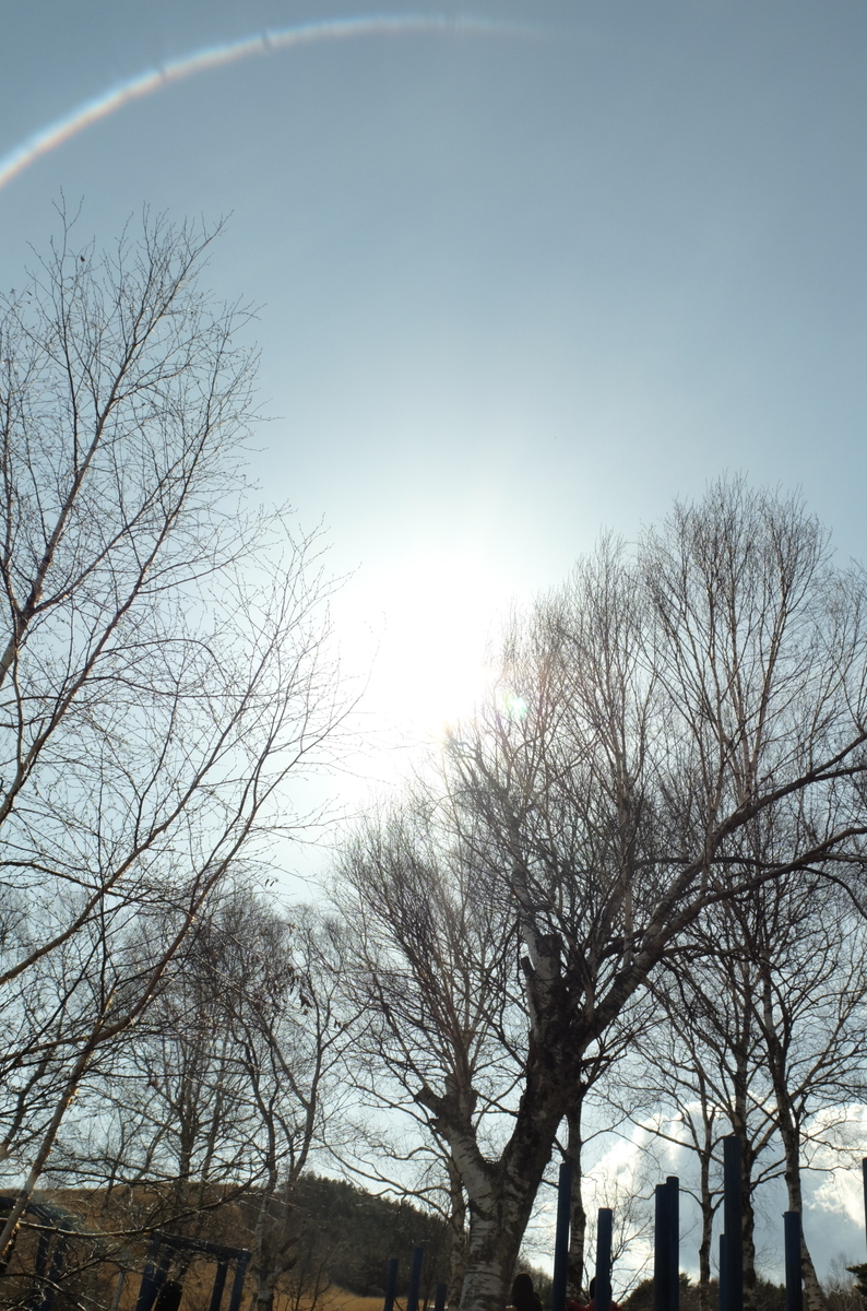 f:id:Aozora100:20191015205356j:plain