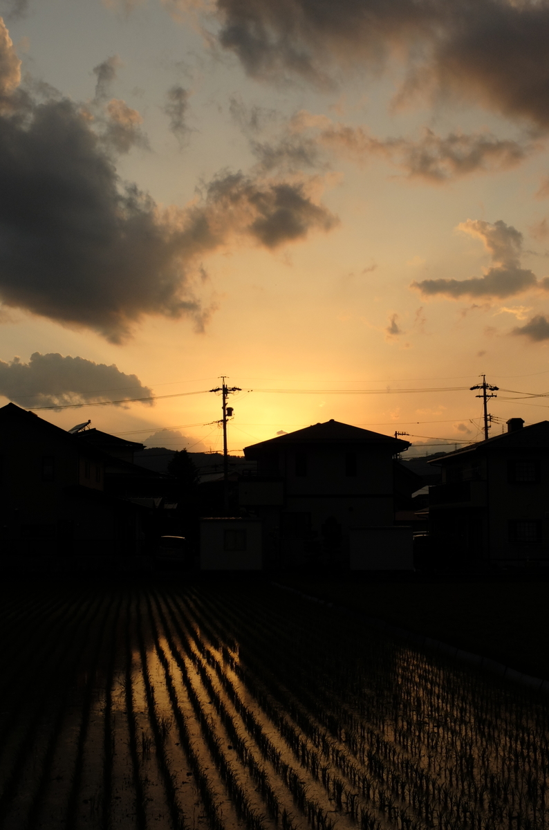 f:id:Aozora100:20191031213744j:plain