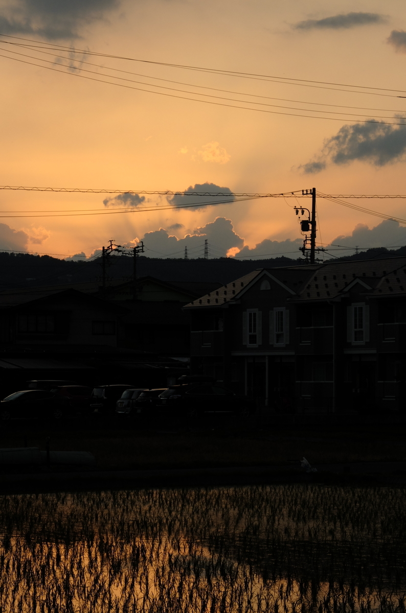 f:id:Aozora100:20191031213837j:plain