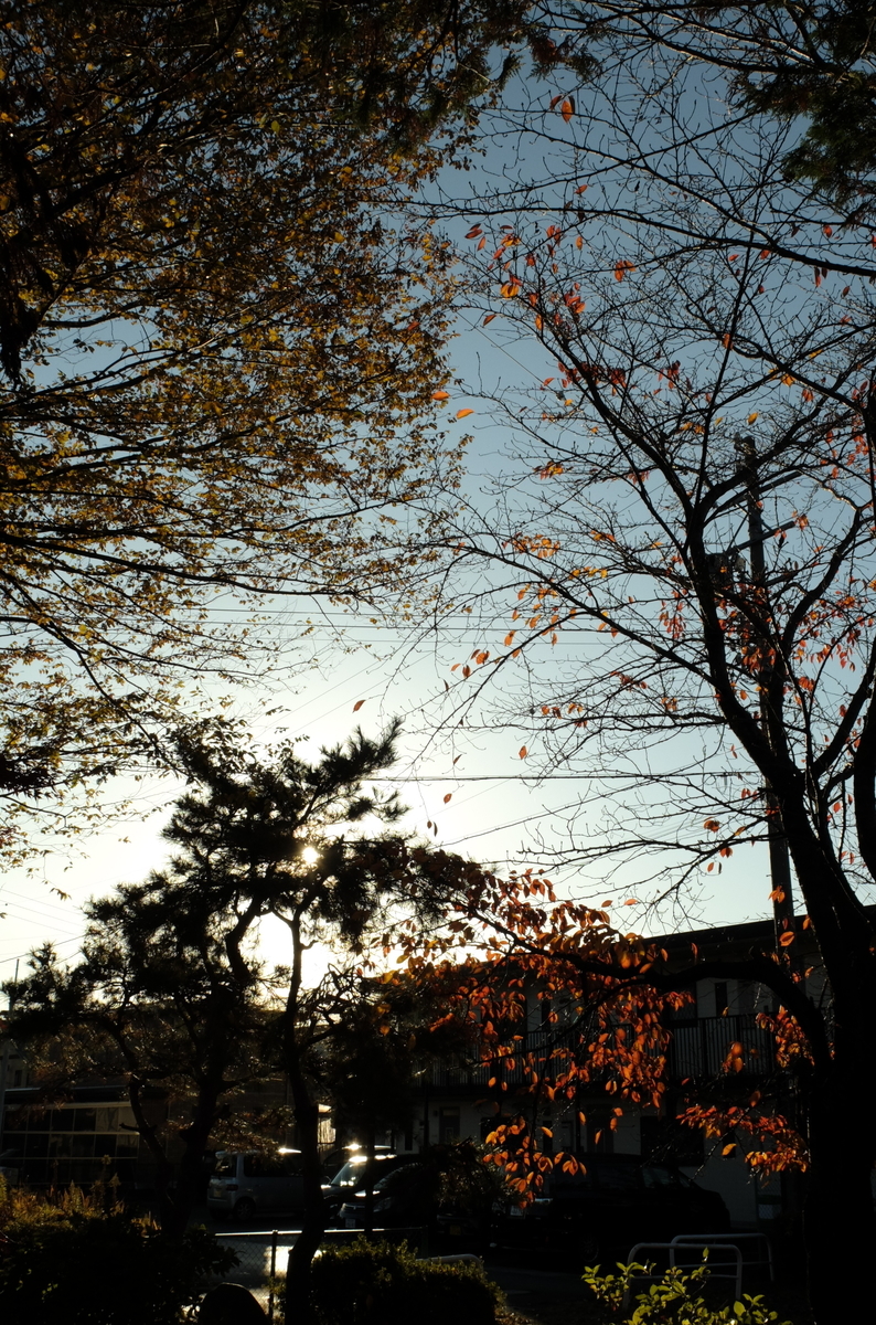 f:id:Aozora100:20191119074242j:plain f:id:Aozora100:20191119074242j:plain