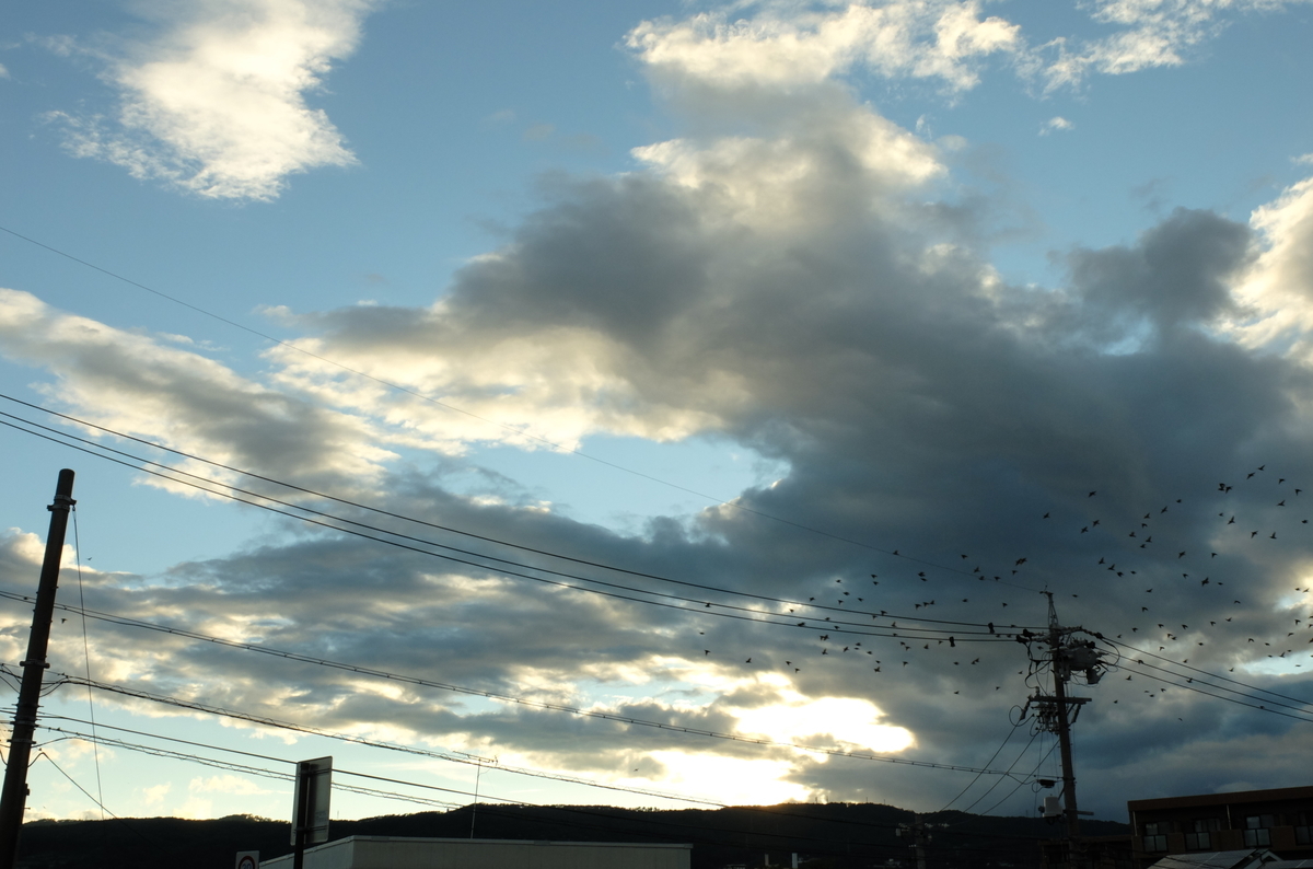 f:id:Aozora100:20191121211603j:plain f:id:Aozora100:20191121211603j:plain