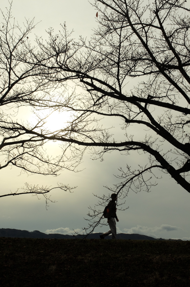 f:id:Aozora100:20191124145157j:plain f:id:Aozora100:20191124145157j:plain