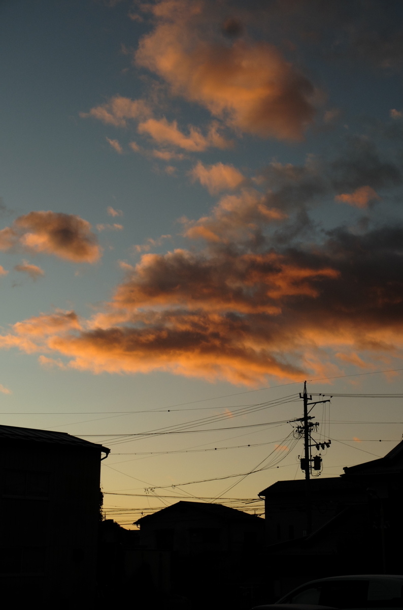 f:id:Aozora100:20191204065143j:plain f:id:Aozora100:20191204065143j:plain
