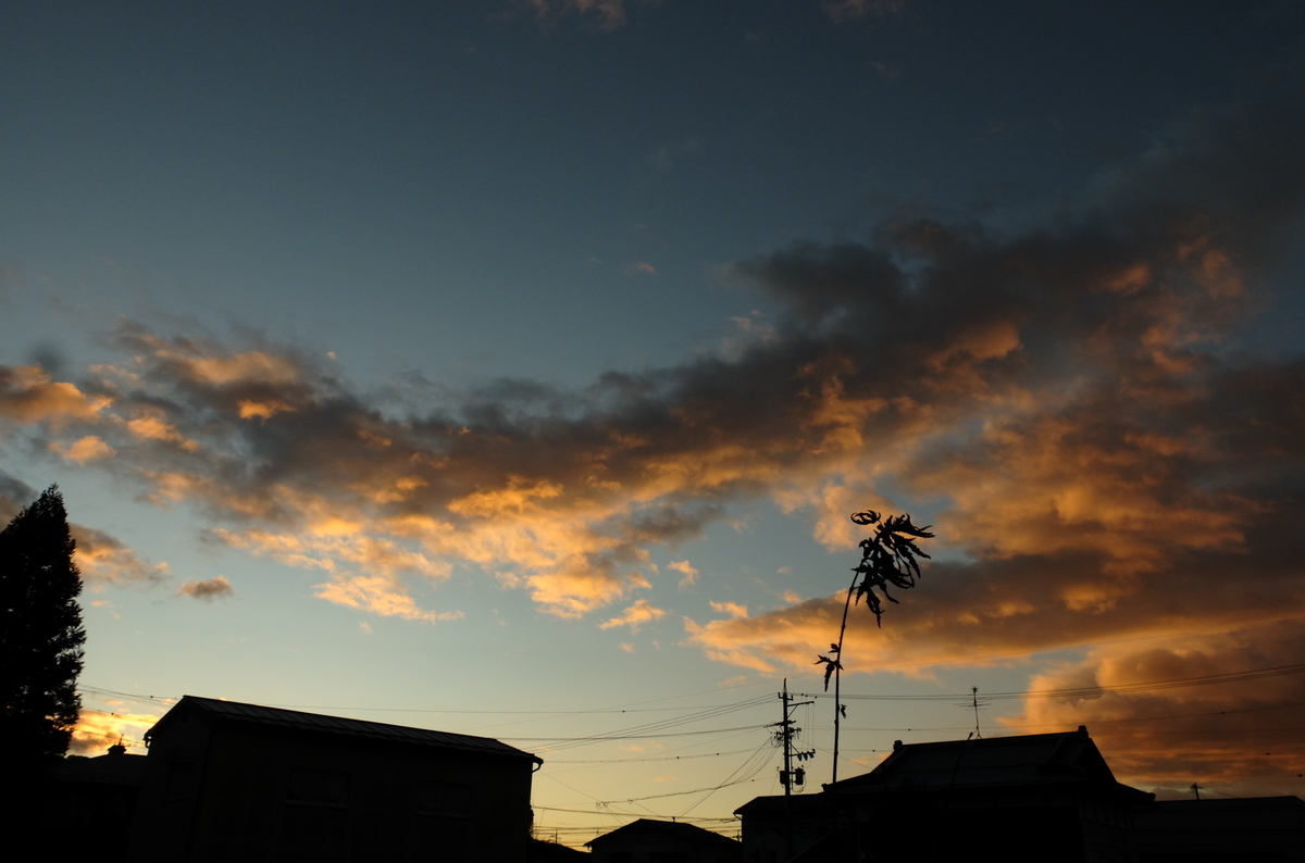 f:id:Aozora100:20191204065605j:plain f:id:Aozora100:20191204065605j:plain