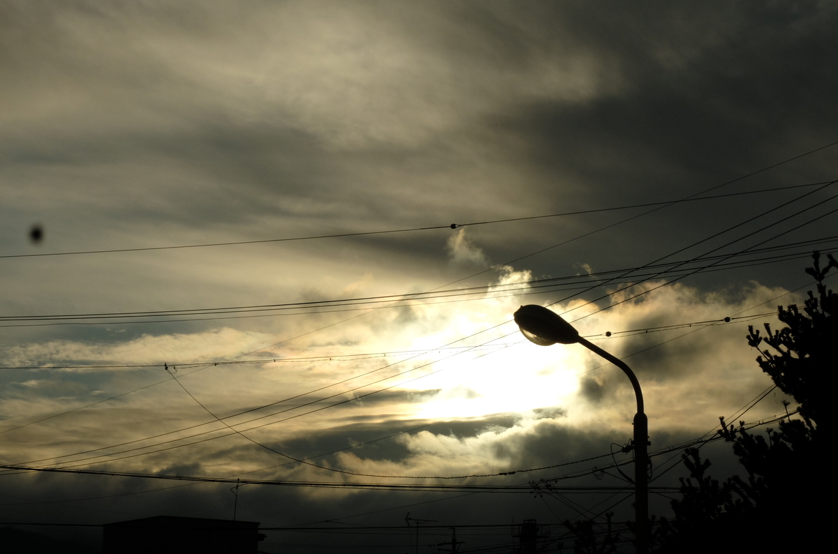 f:id:Aozora100:20191206074758j:plain f:id:Aozora100:20191206074758j:plain