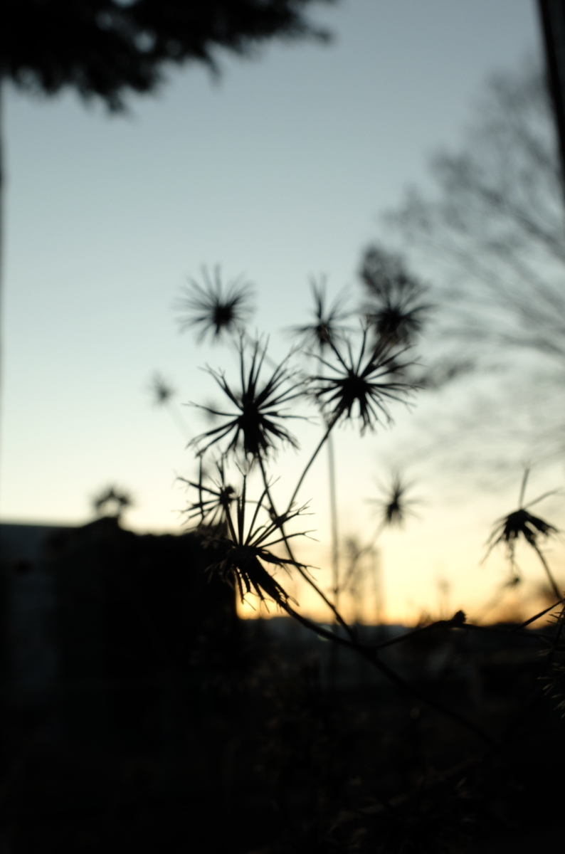 f:id:Aozora100:20191214071712j:plain f:id:Aozora100:20191214071712j:plain