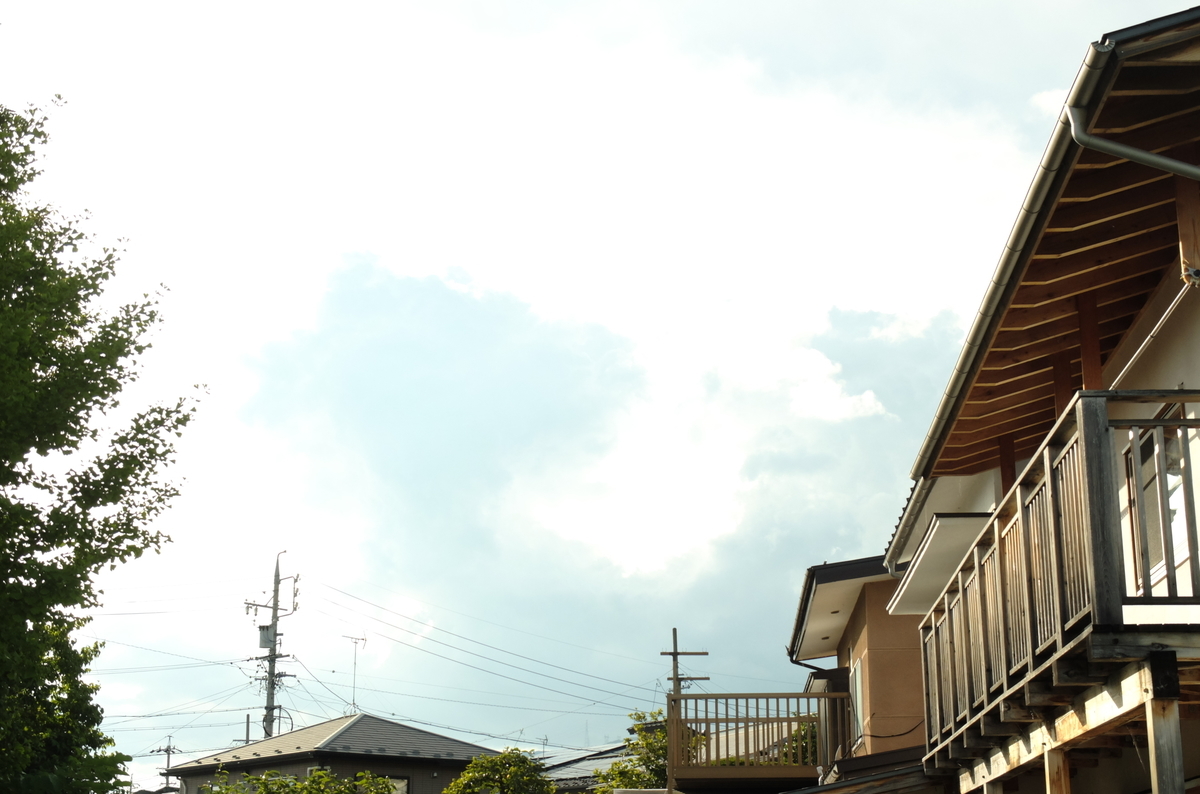f:id:Aozora100:20200110104125j:plain