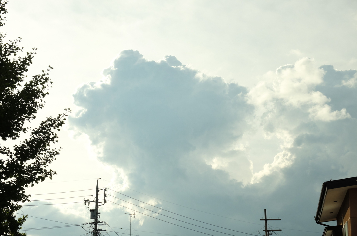 f:id:Aozora100:20200110104135j:plain