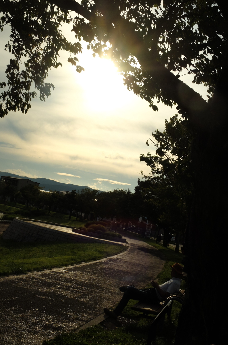 f:id:Aozora100:20200110104238j:plain