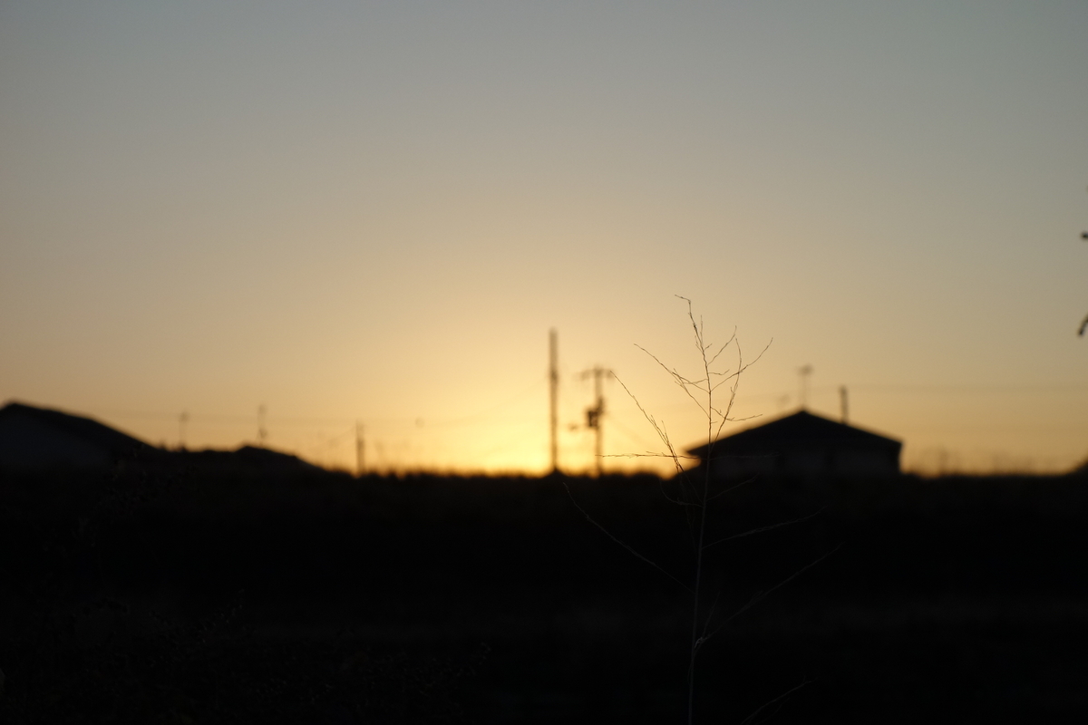 f:id:Aozora100:20200116212243j:plain