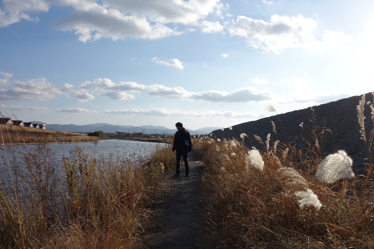 f:id:Aozora100:20200116212452j:plain