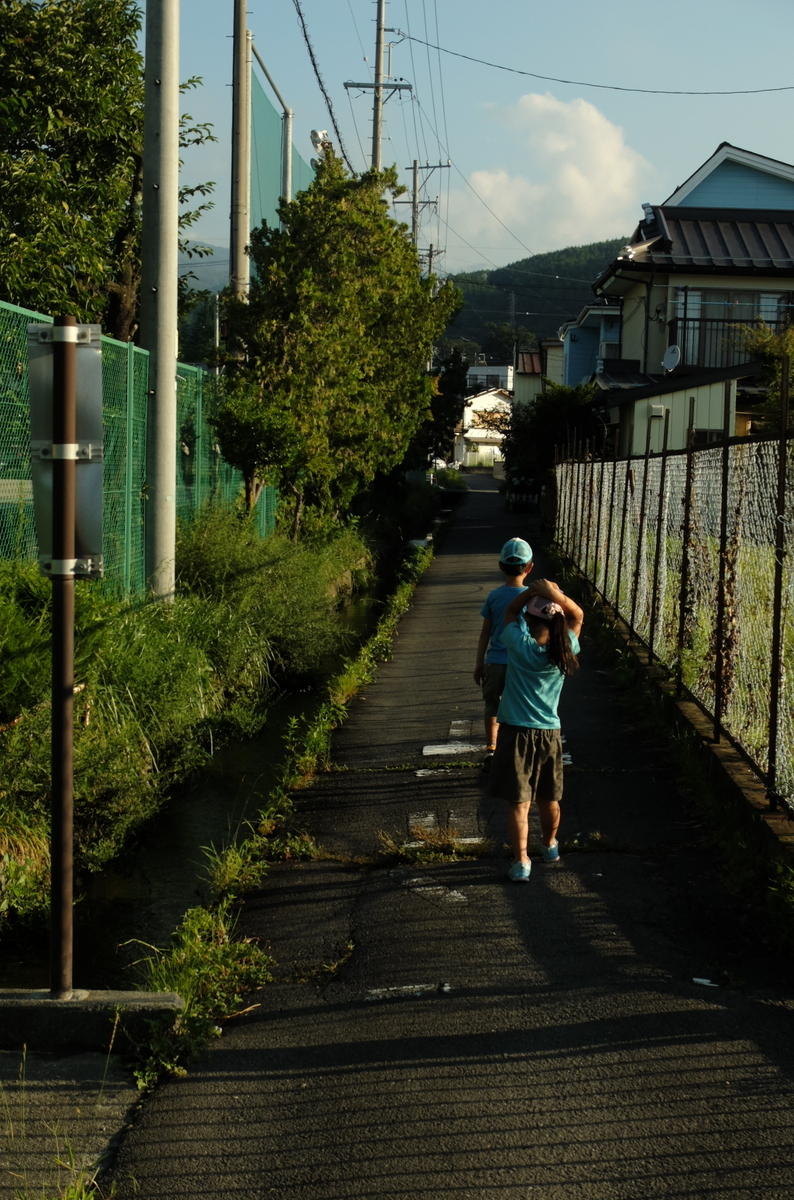 f:id:Aozora100:20200124222802j:plain f:id:Aozora100:20200124222802j:plain