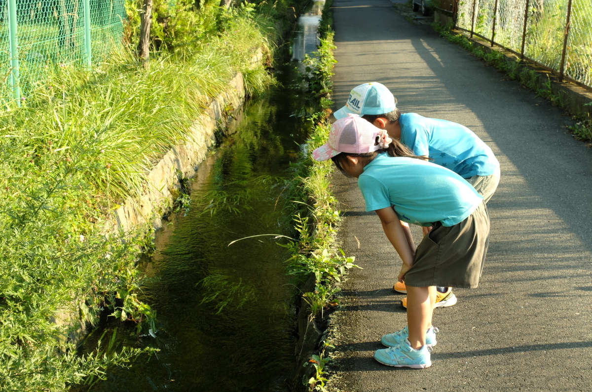 f:id:Aozora100:20200124222851j:plain f:id:Aozora100:20200124222851j:plain
