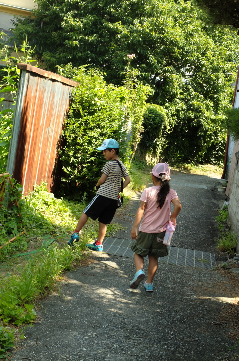 f:id:Aozora100:20200124222921j:plain f:id:Aozora100:20200124222921j:plain