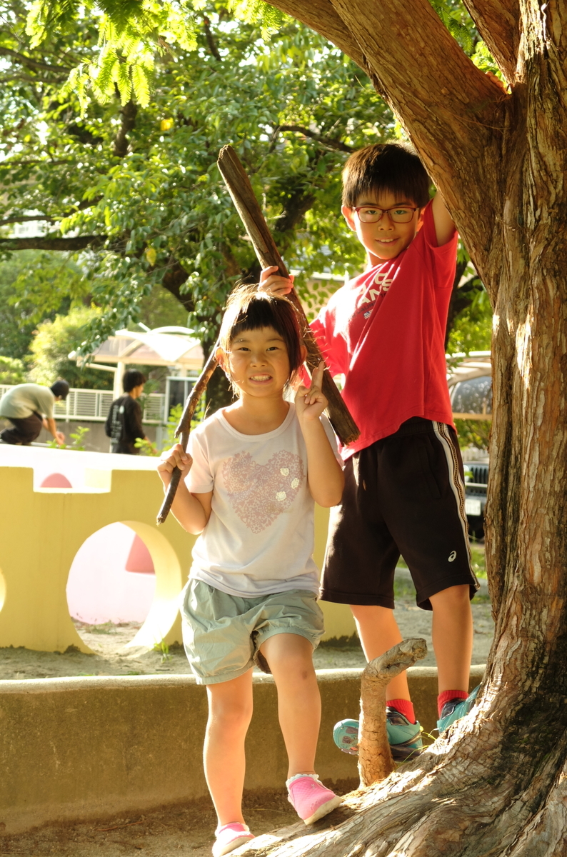 f:id:Aozora100:20200124223012j:plain f:id:Aozora100:20200124223012j:plain