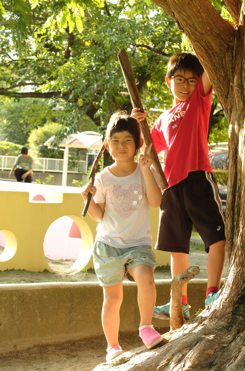 f:id:Aozora100:20200124223025j:plain f:id:Aozora100:20200124223025j:plain