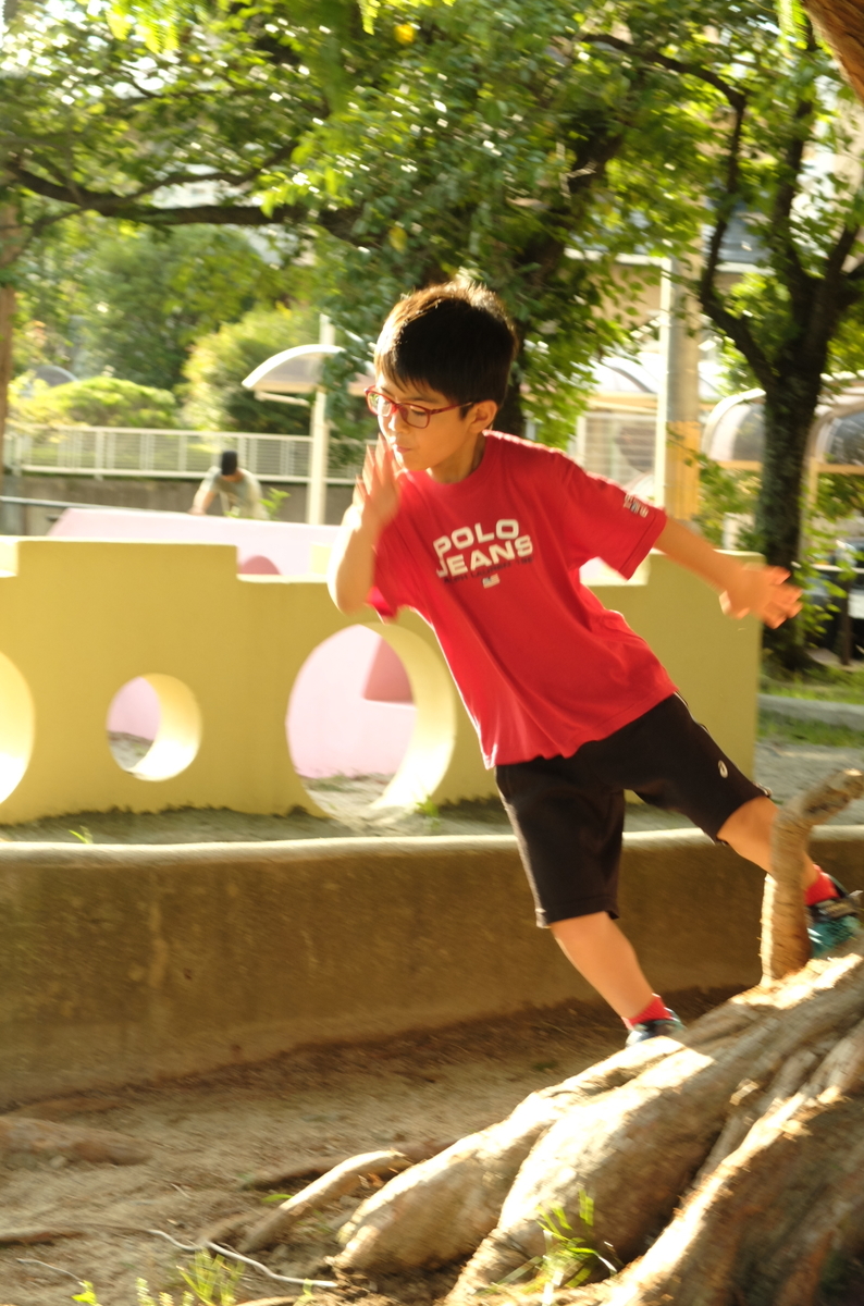 f:id:Aozora100:20200124223039j:plain f:id:Aozora100:20200124223039j:plain