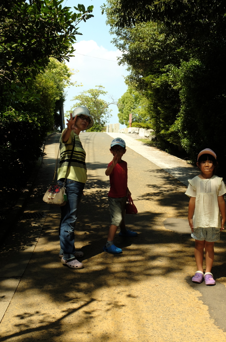 f:id:Aozora100:20200124223216j:plain
