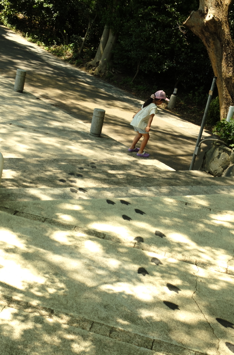 f:id:Aozora100:20200124223254j:plain