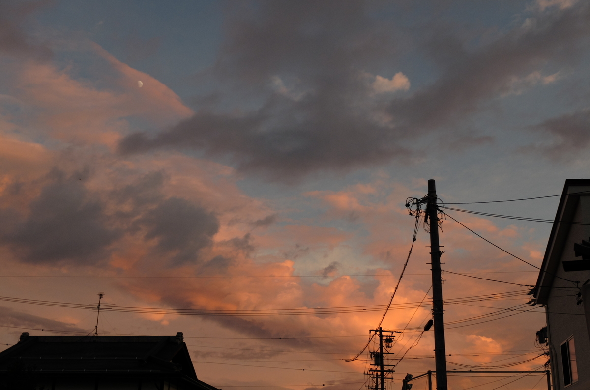 f:id:Aozora100:20200125211509j:plain