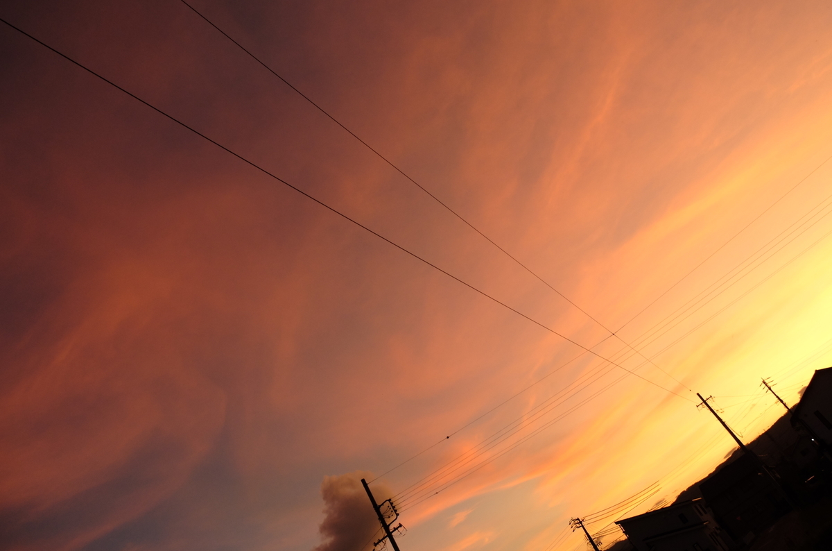 f:id:Aozora100:20200125211540j:plain