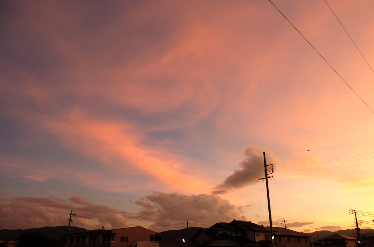 f:id:Aozora100:20200125211549j:plain