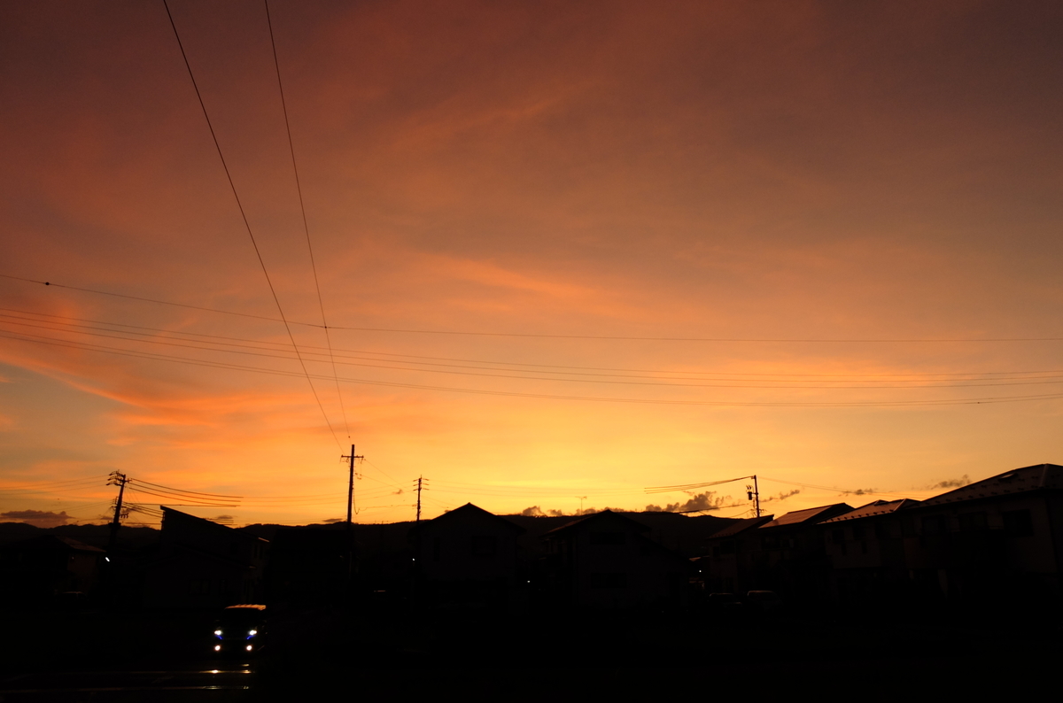 f:id:Aozora100:20200125211557j:plain