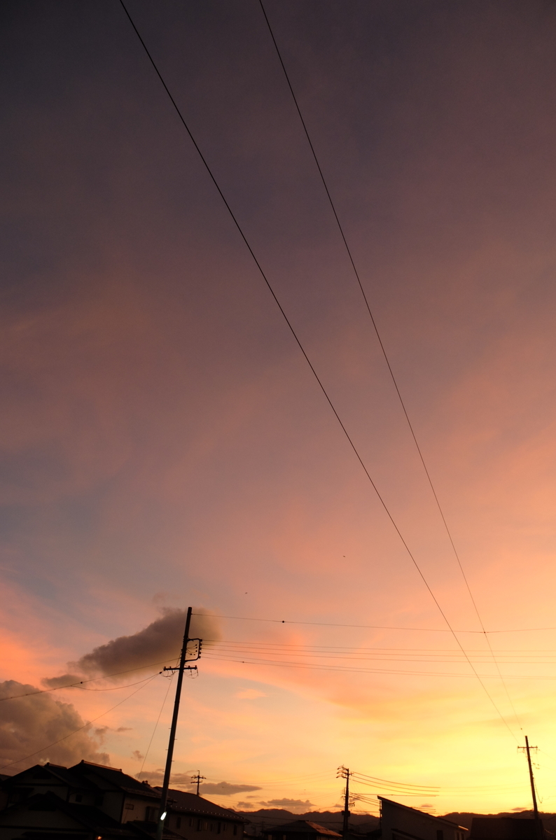 f:id:Aozora100:20200125211616j:plain