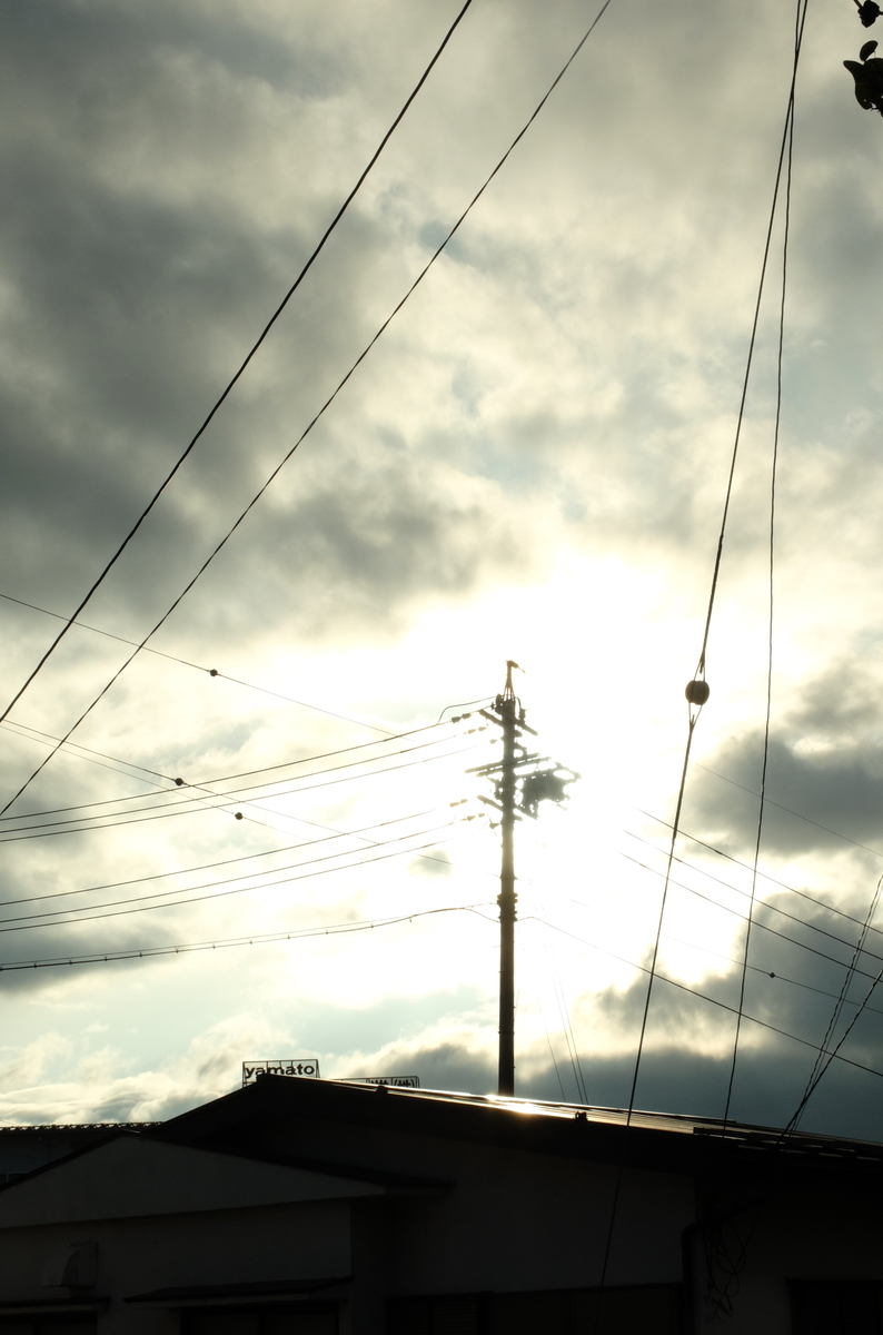 f:id:Aozora100:20200125211621j:plain
