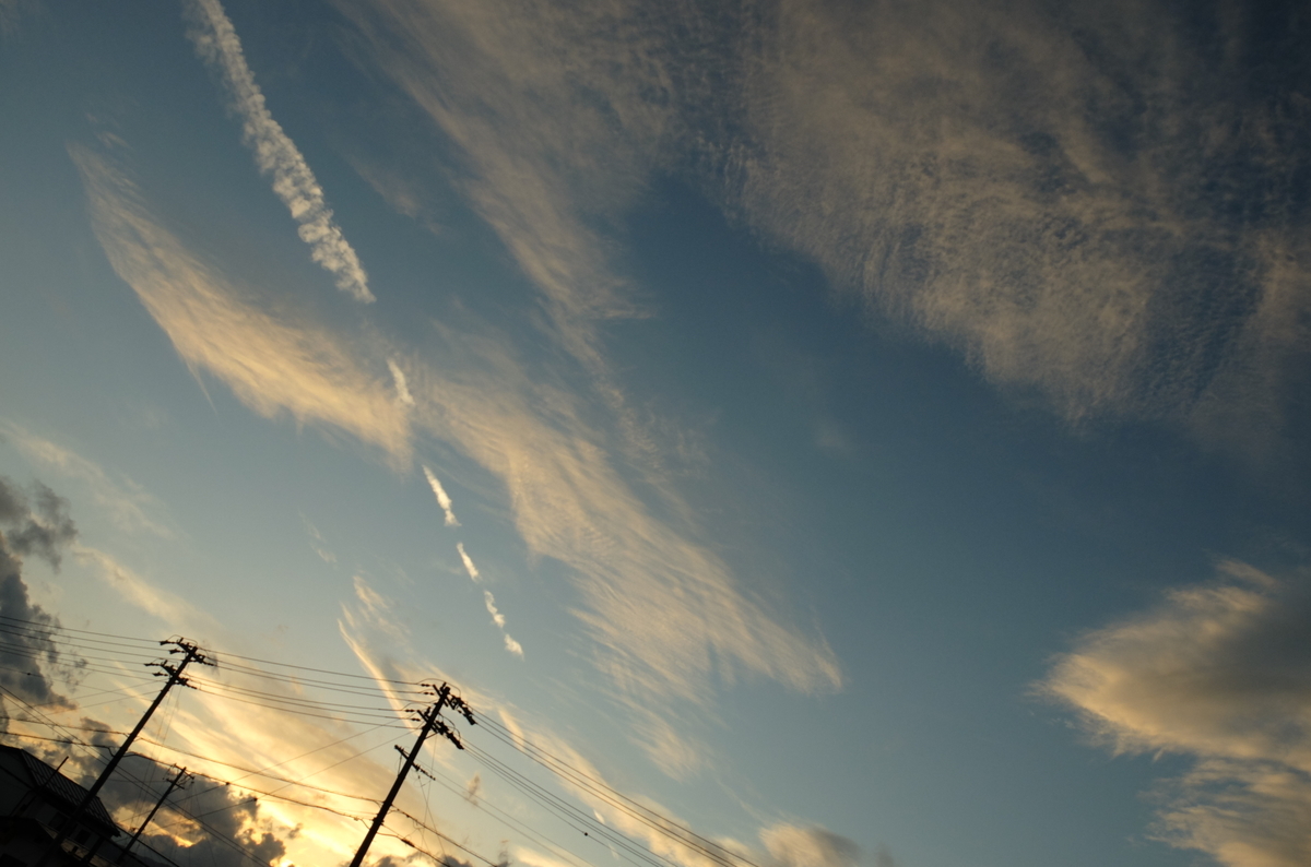 f:id:Aozora100:20200213090413j:plain