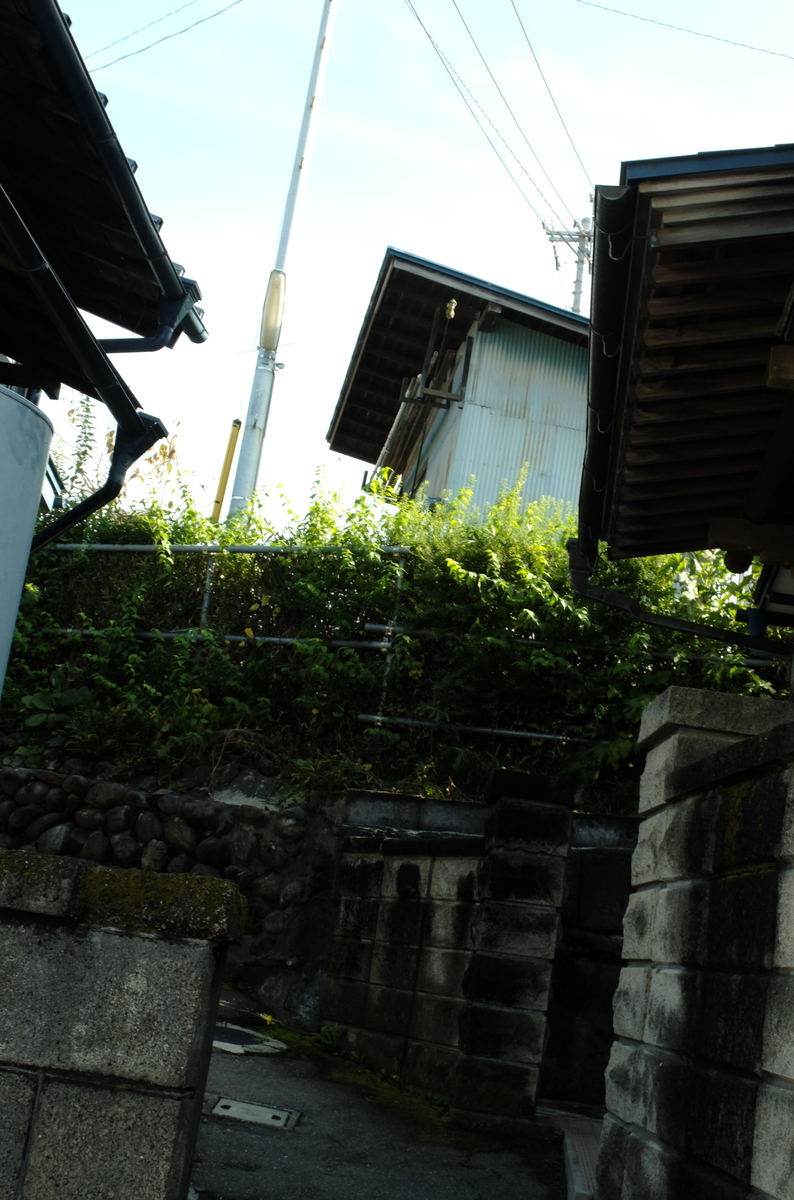 f:id:Aozora100:20200214113658j:plain f:id:Aozora100:20200214113658j:plain