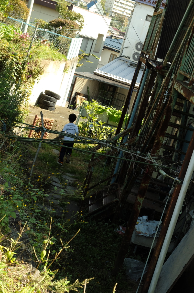 f:id:Aozora100:20200214113727j:plain f:id:Aozora100:20200214113727j:plain