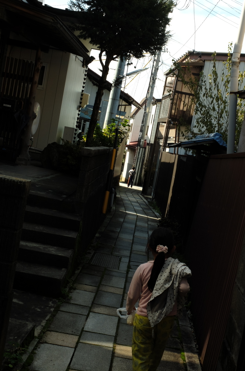 f:id:Aozora100:20200214113814j:plain f:id:Aozora100:20200214113814j:plain