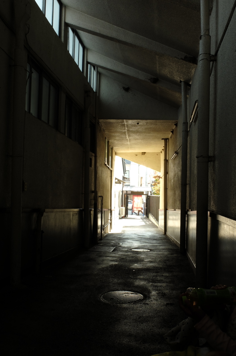 f:id:Aozora100:20200214113838j:plain f:id:Aozora100:20200214113838j:plain