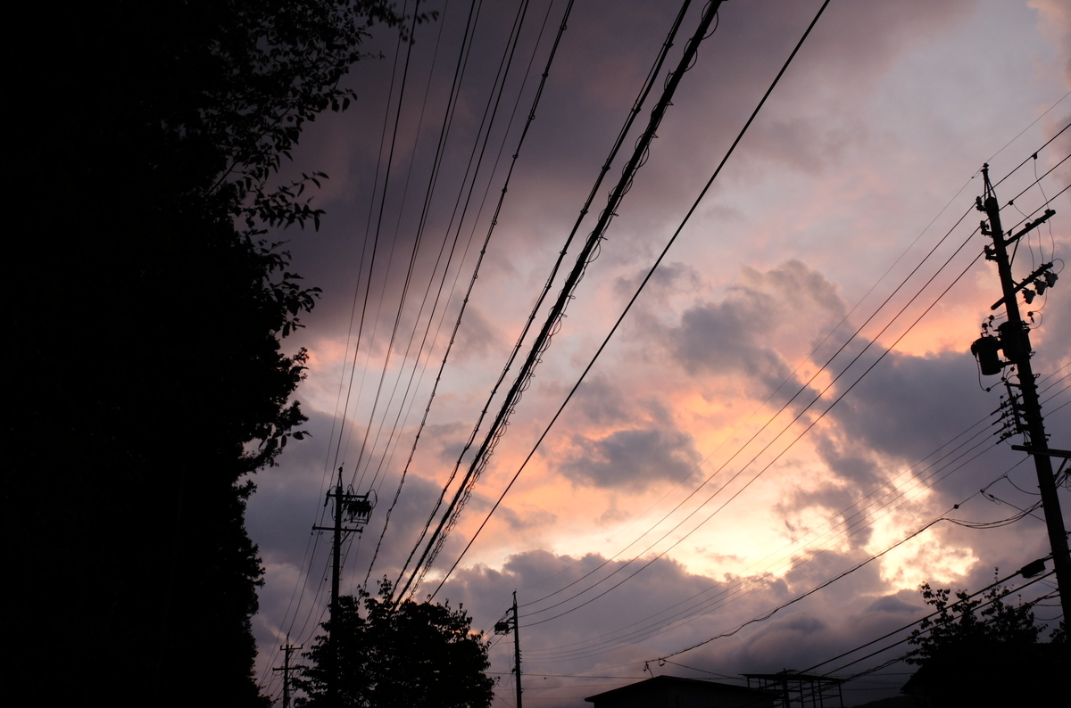 f:id:Aozora100:20200216213618j:plain