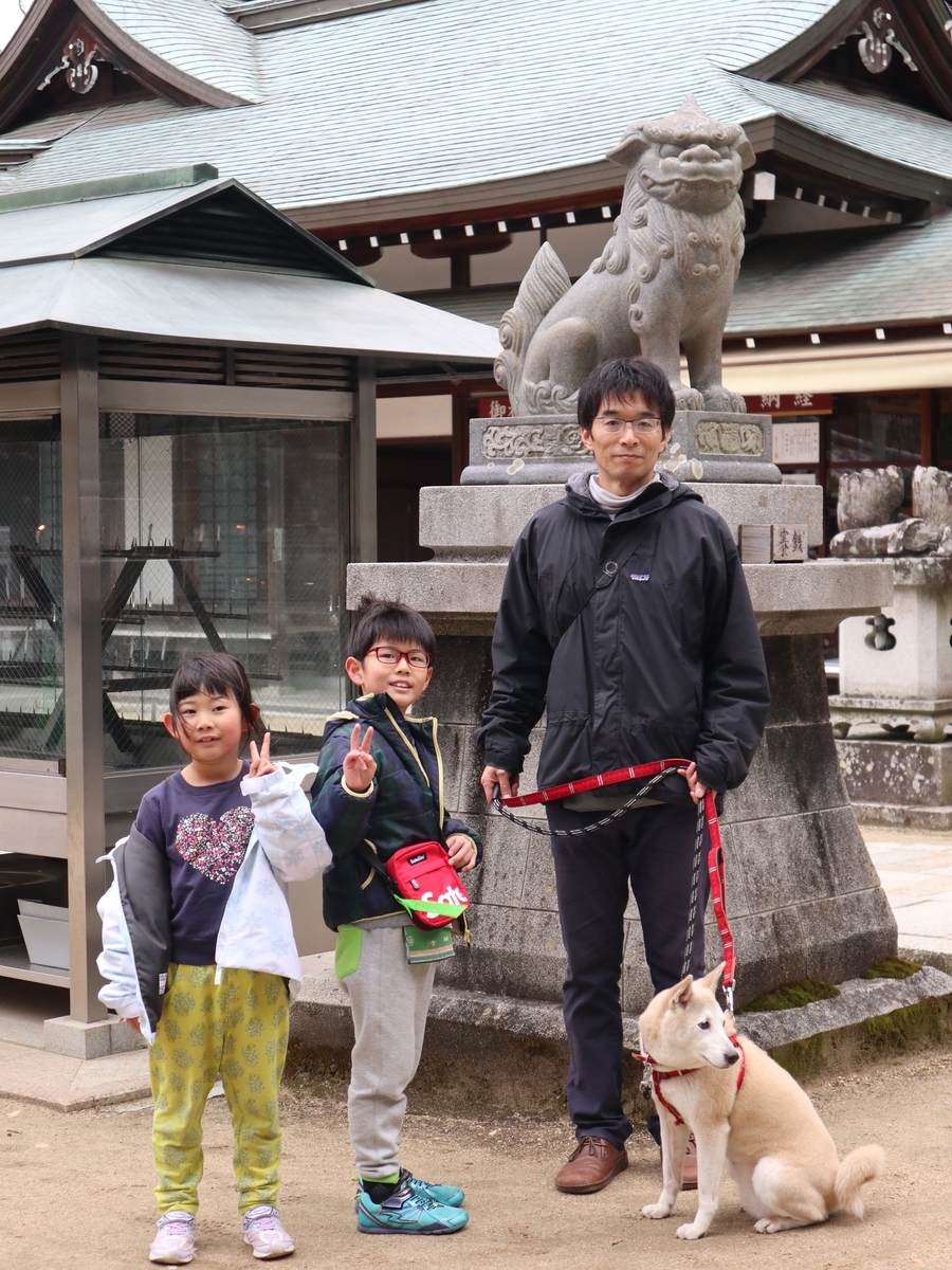 f:id:Aozora100:20200218210456j:plain