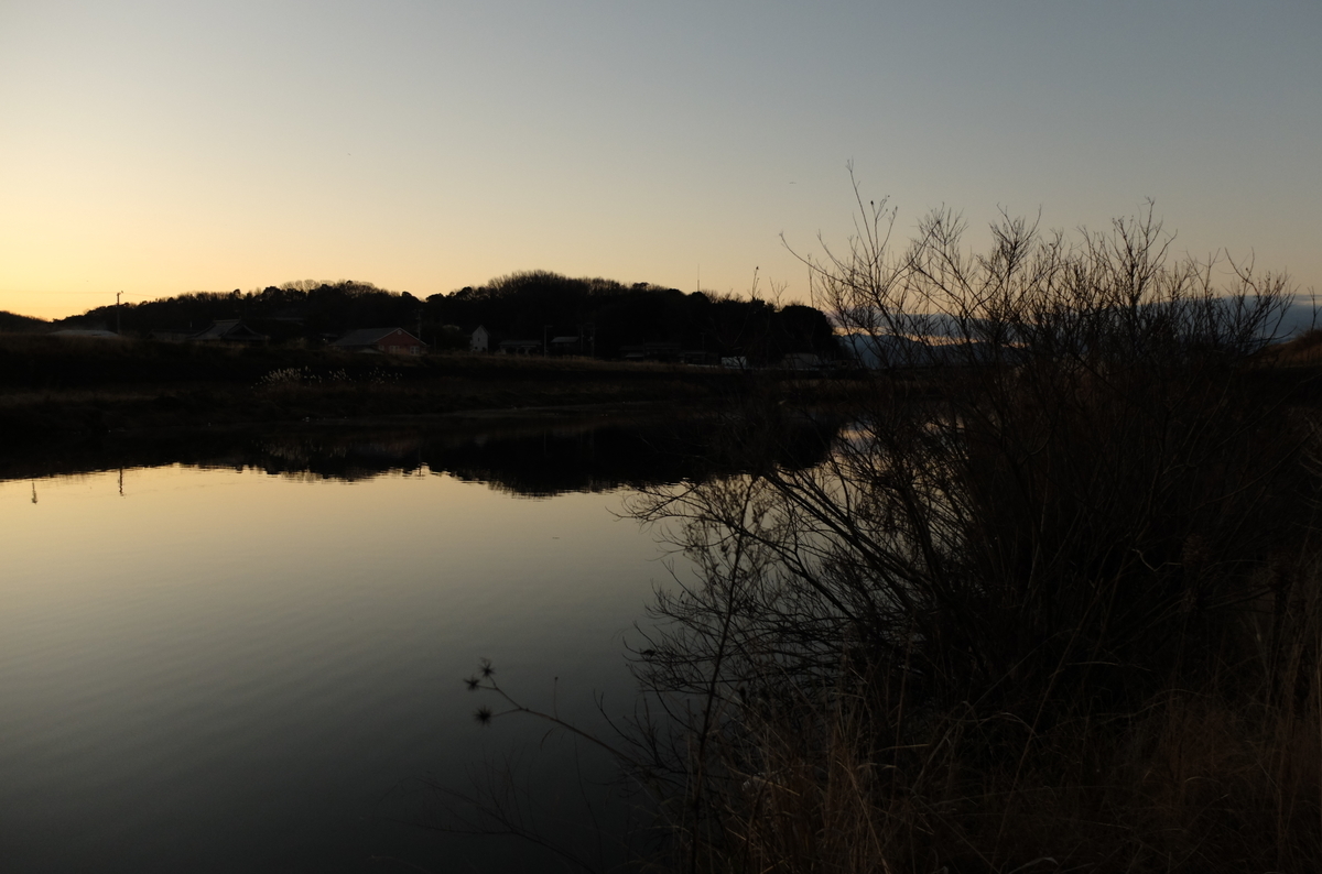 f:id:Aozora100:20200329210314j:plain f:id:Aozora100:20200329210314j:plain