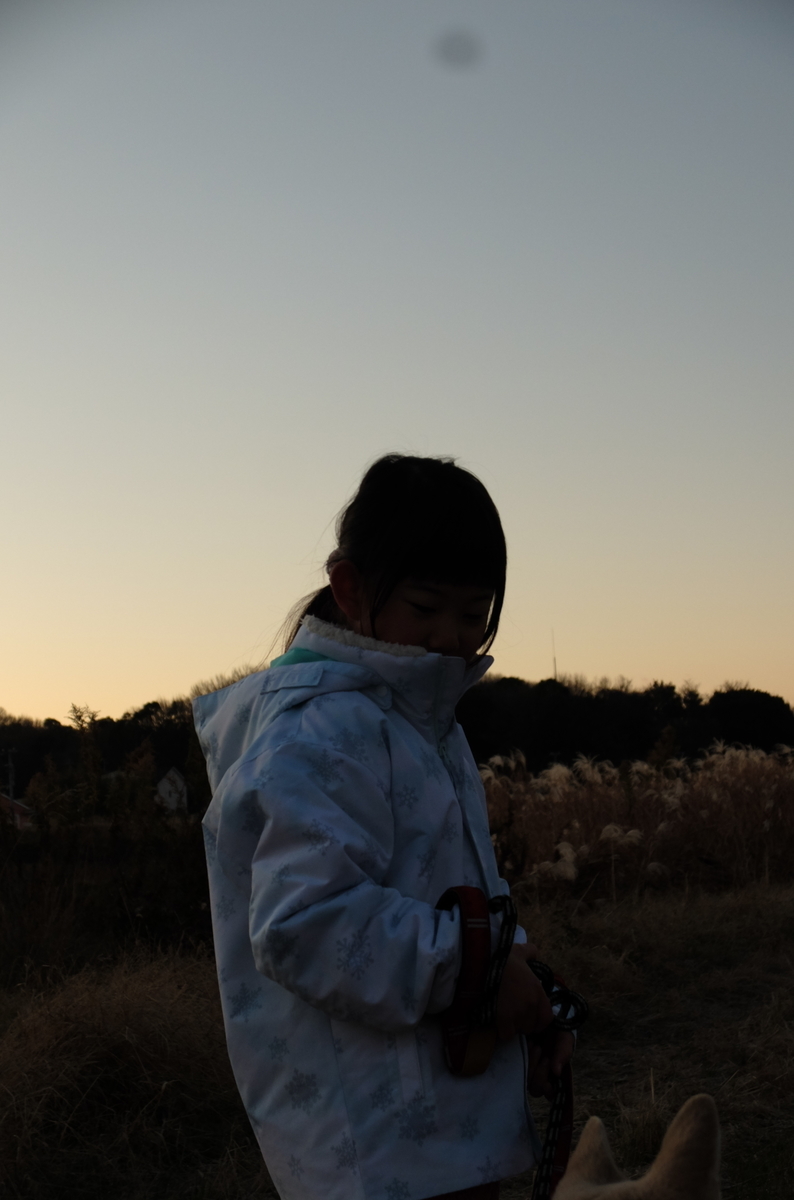 f:id:Aozora100:20200329210348j:plain f:id:Aozora100:20200329210348j:plain