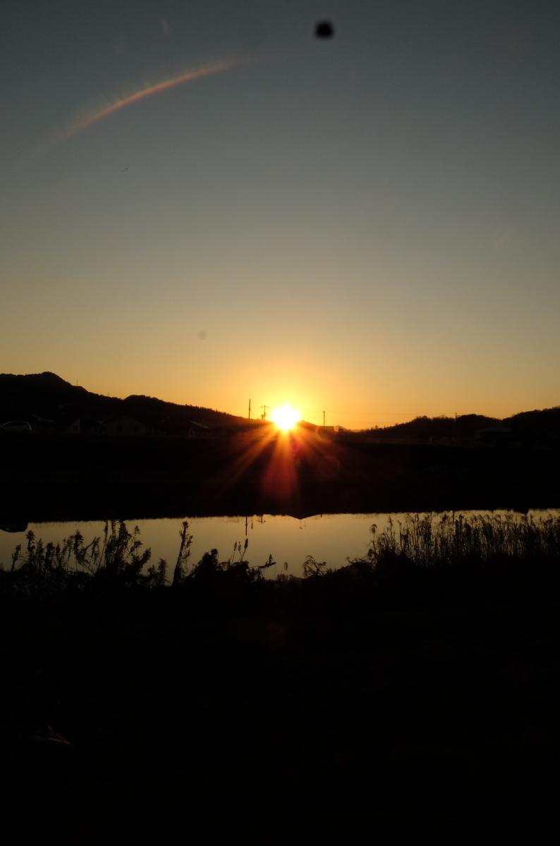 f:id:Aozora100:20200329210359j:plain f:id:Aozora100:20200329210359j:plain